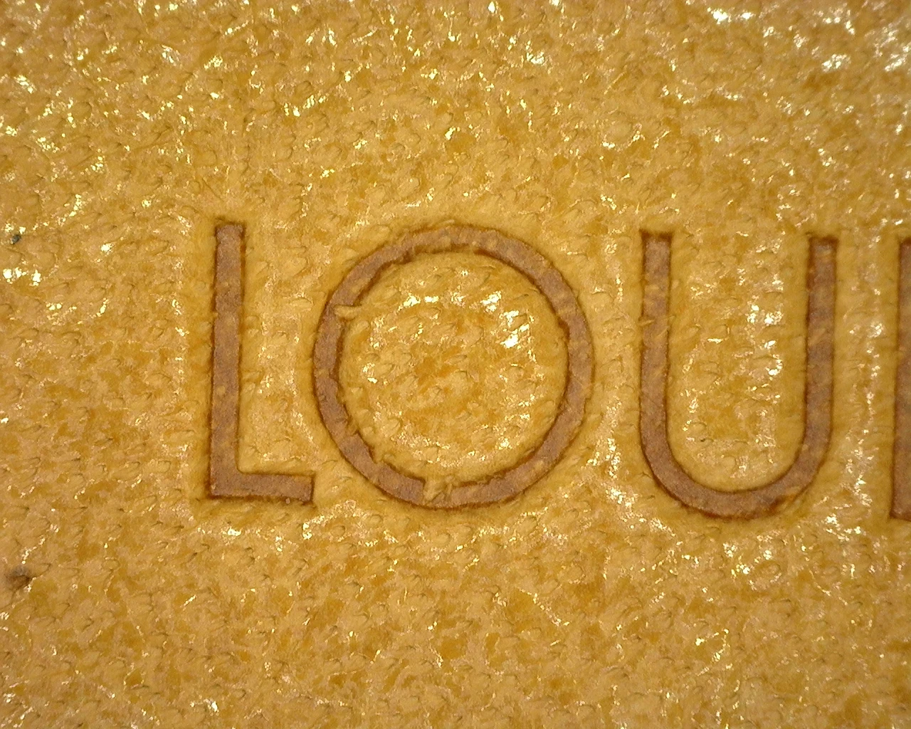 Real microscopic photograph of an embossed brand stamp
